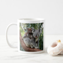 Mother and Baby Koala Bear