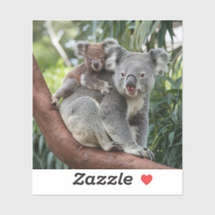 Mother and Baby Koala Bear Sticker