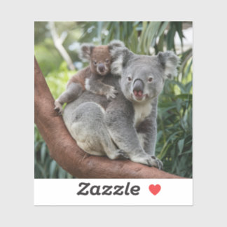 Mother and Baby Koala Bear Sticker