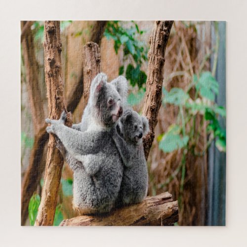 Mother And Baby Koala Bears Jigsaw Puzzle