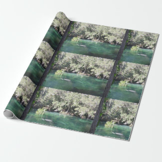 Mother and Baby Manatee Nature Photo Blue Springs  Wrapping Paper