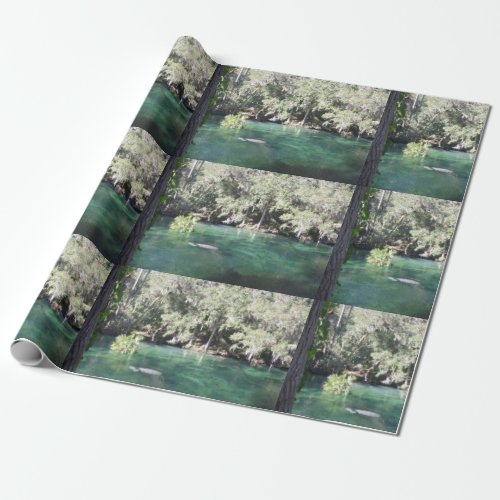 Mother and Baby Manatee Nature Photo Blue Springs  Wrapping Paper