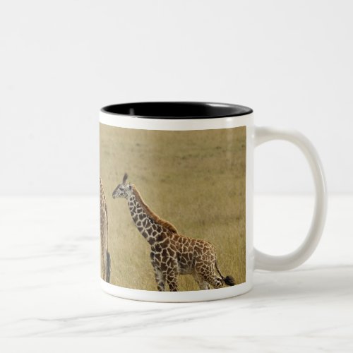 Mother and baby Masai Giraffe Giraffa 2 Two_Tone Coffee Mug