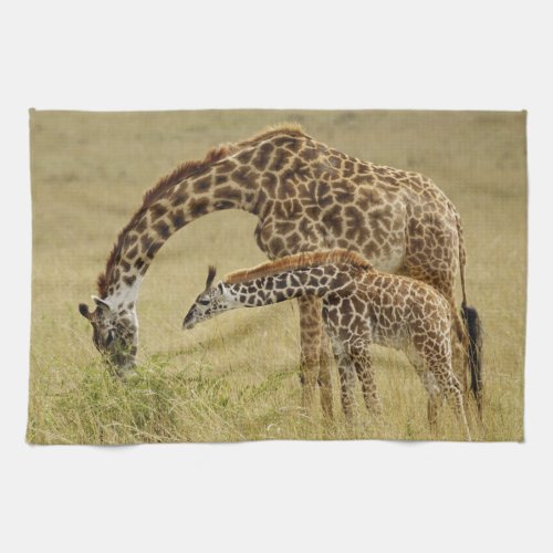Mother and baby Masai Giraffe Giraffa Kitchen Towel