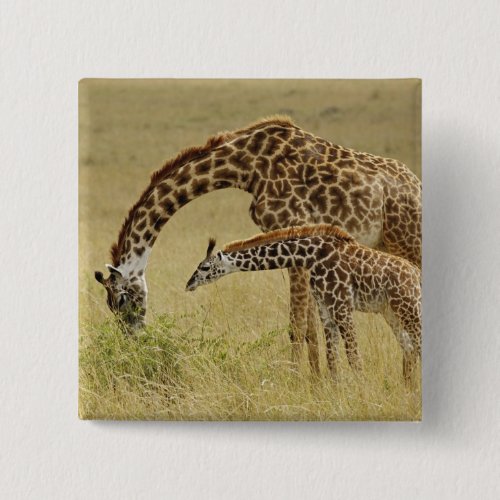 Mother and baby Masai Giraffe Giraffa Pinback Button