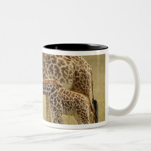 Mother and baby Masai Giraffe Giraffa Two_Tone Coffee Mug