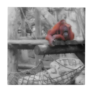 Mother and Baby Orangutan Ceramic Tile