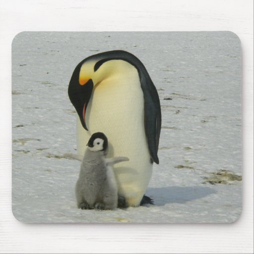 Mother and Baby Penguin Mouse Pad | Zazzle