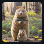 Mother And Baby Quokka, Birthday Stickers<br><div class="desc">Pictured is a mother Quokka with her baby</div>
