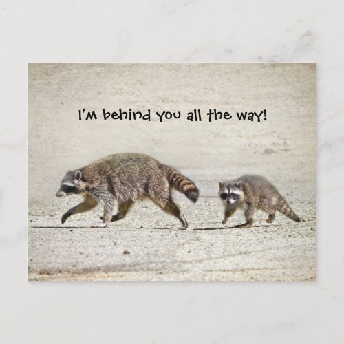 Mother and Baby Raccoon Postcard