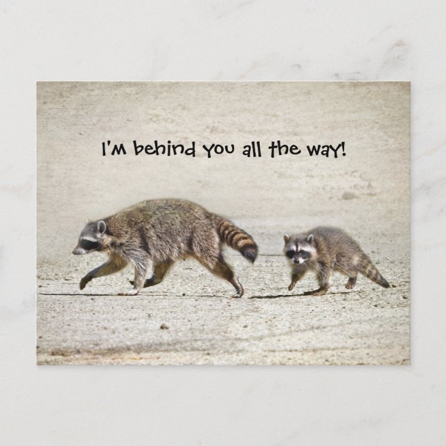 Mother and Baby Raccoon Postcard (Front)