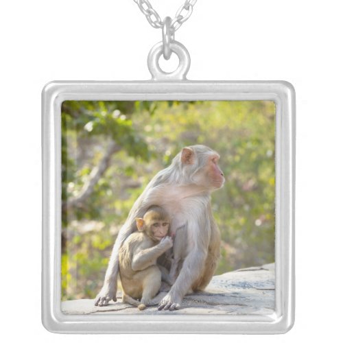 Mother and baby Rhesus Macaque monkeys on wall Silver Plated Necklace