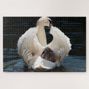 mother and baby swan puzzle 