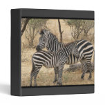 Mother and Baby Zebra  Binder