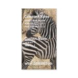 Mother and Baby Zebra Business Cards