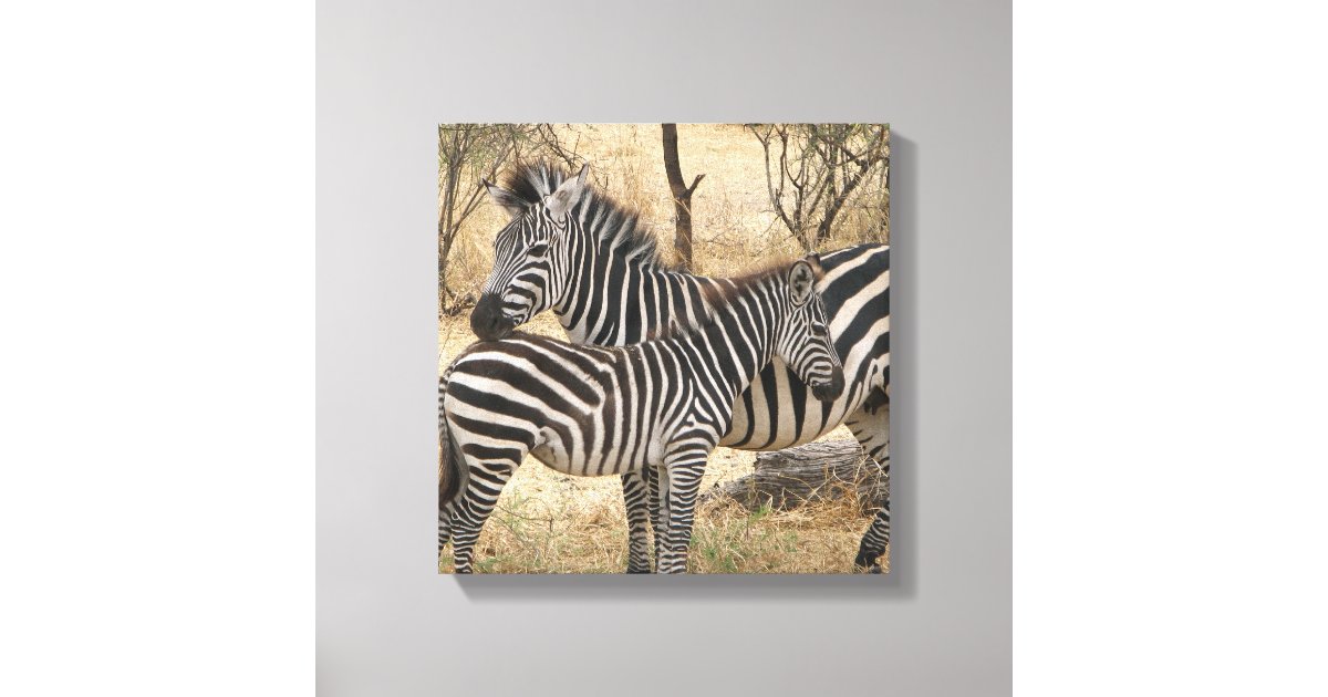 Mother and Baby Zebra Canvas Print | Zazzle