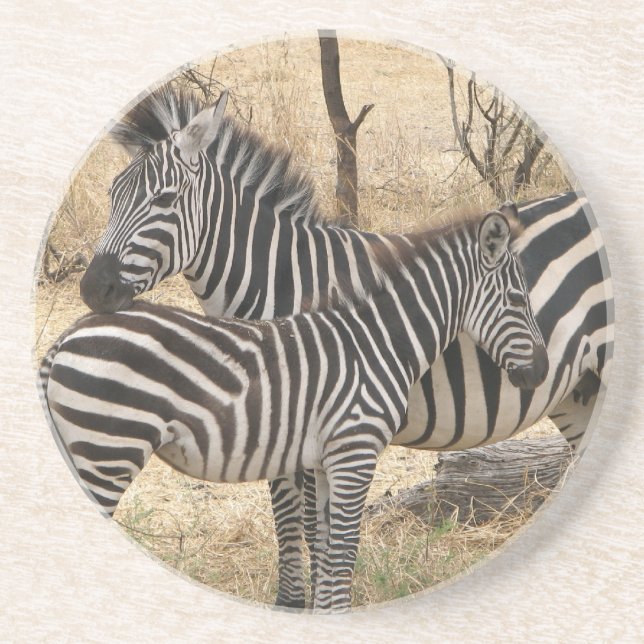 Mother and Baby Zebra  Coaster (Front)