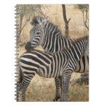 Mother and Baby Zebra  Notebook