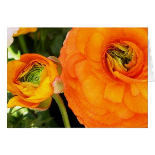 Mother and Child Cards (Front Horizontal)