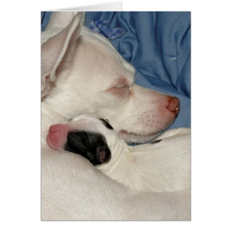 Mother and Child Cards