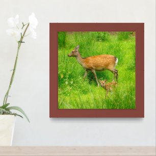 Mother and child - fallow deer with young framed art