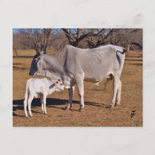 Mother and Child Postcard (Front)