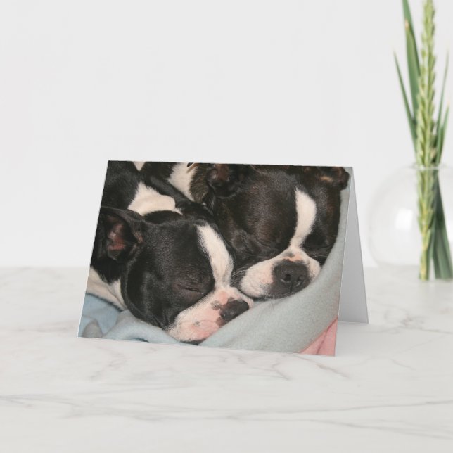 Mother and child puppy Note Card Boston Terrier (Front)