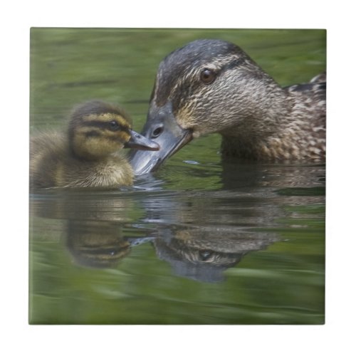 Mother and Duckling Tile