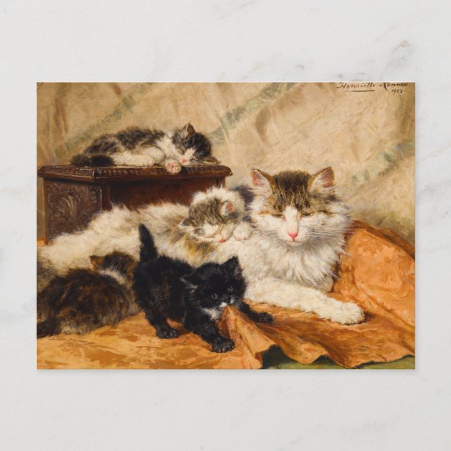 Mother and Her Kittens Postcard (Front)