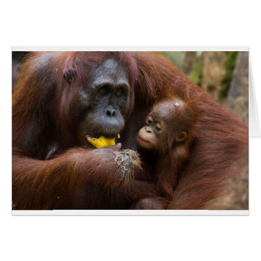 Mother and son (Front Horizontal)