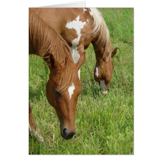 Mother and Son, Horses Grazing Cards (Front)