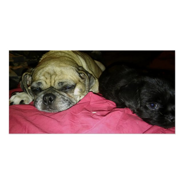 Mother and Son Poster (Front)