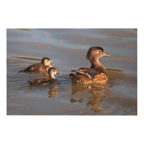 Mother and Wood Ducklings Wood Wall Decor