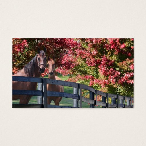 Customizable Mother and young horse business card template