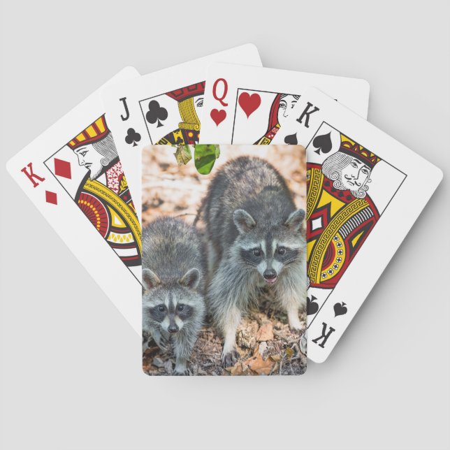 Mother and young raccoon in fall setting poker cards (Back)