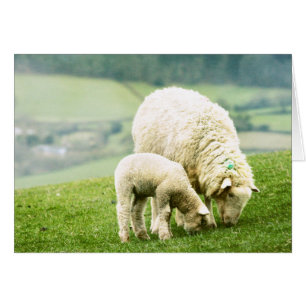 Mother & Baby Cards