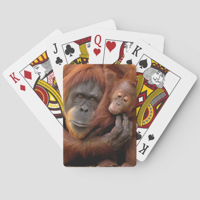 Mother & Baby Orangutan Poker Cards (Back)