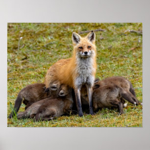 Mother Be Like Poster