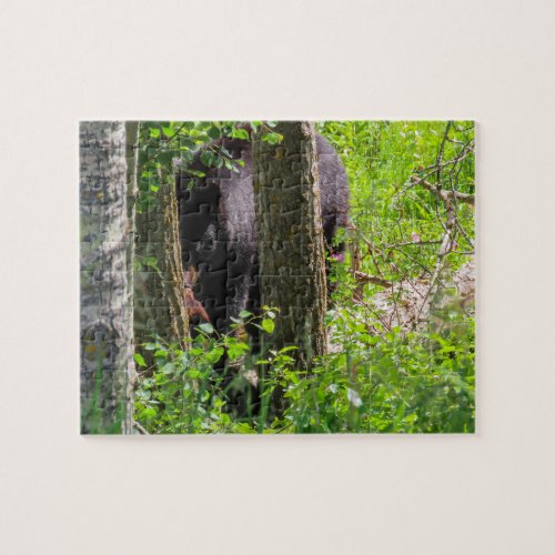 mother bear and her cub jigsaw puzzle