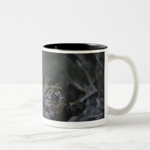 Mother Bengal Tiger with Cub Two-Tone Coffee Mug