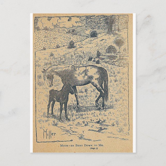 Mother Bent DownTo Me Black Beauty Postcard (Front)