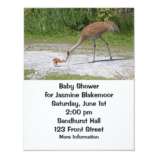 Mother Bird and Baby Bird Sandhill Cranes Card