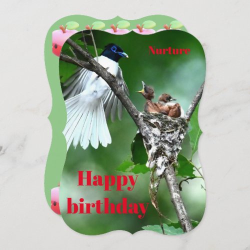 Mother bird bird feeding card