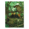 Mother Bird Feeding Hungry Baby Birds Poster