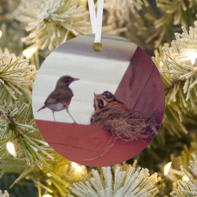 Mother Bird With Baby Birds In Nest Photo Metal Ornament (Insitu)