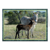 Mother burro and baby (Front Horizontal)
