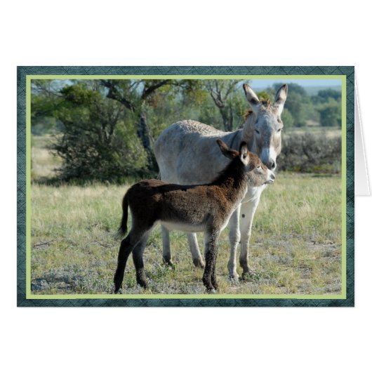 Mother burro and baby (Front Horizontal)