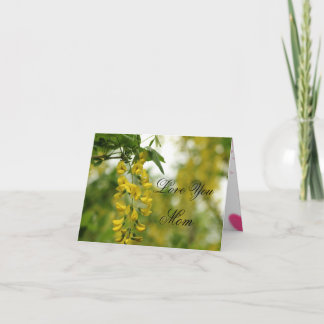 Mother Card