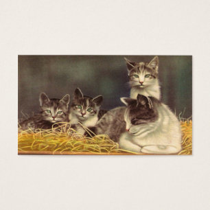 Mother Cat and Kittens