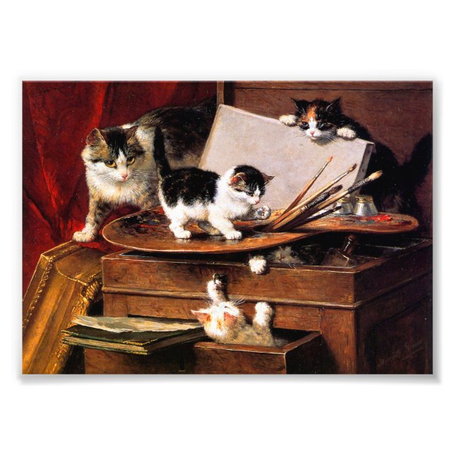 Mother Cat and Kittens on Table Photo Print (Front)